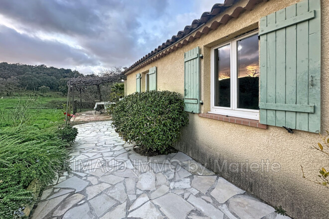 La Garde-Freinet photo