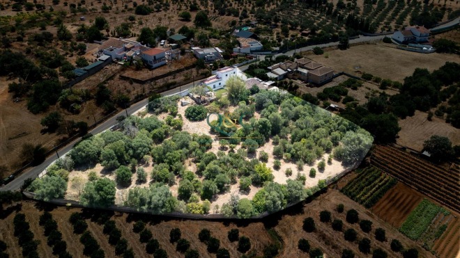 Luz de Tavira et Santo Estêvão photo