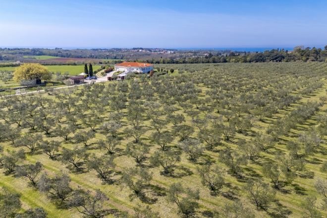 Poreč photo
