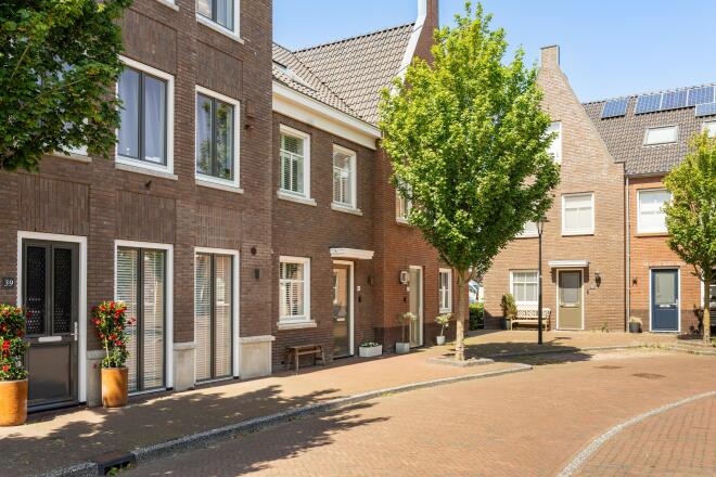 Noordwijkerhout photo
