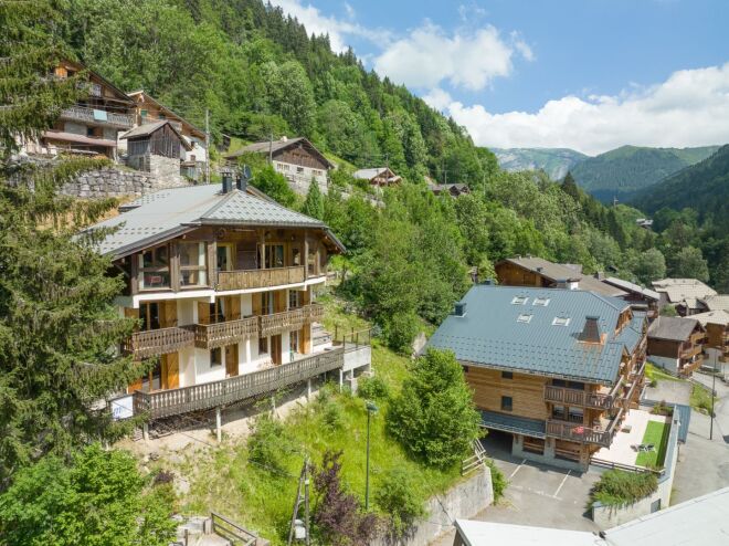Chamonix-Mont-Blanc photo