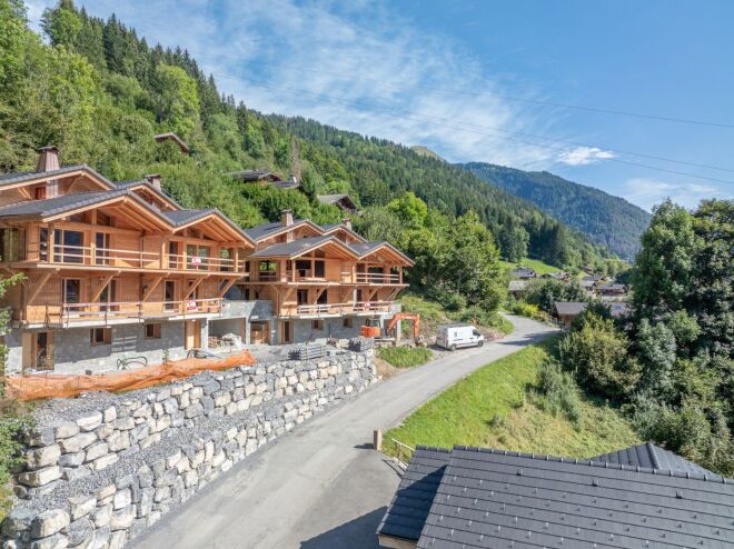 Praz-sur-Arly photo