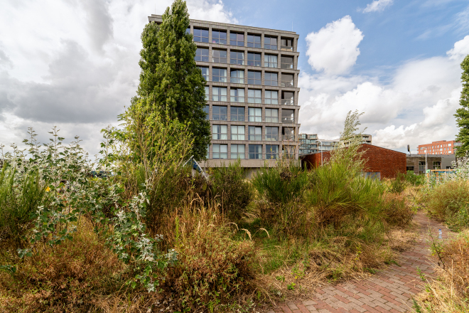 Oostzaan photo