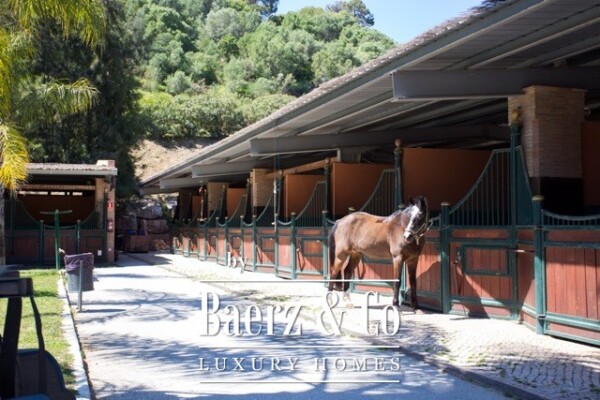 photo 45 Villa - Marbella Club Golf Resort - Benahavis - Ref: 7736