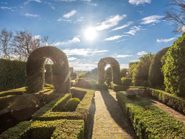 photo 44 Wiertdijkje 1