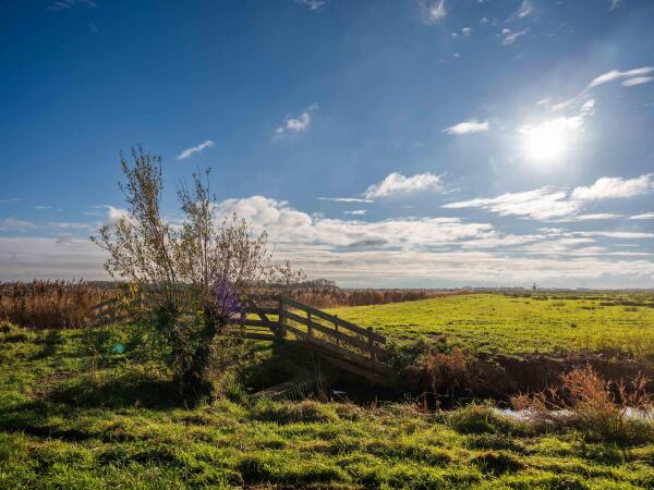 photo 40 Wiertdijkje 1