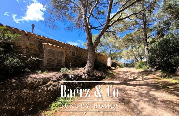 photo 19 PRIVACY, NATURE AND UNOBSTRUCTED VIEWS