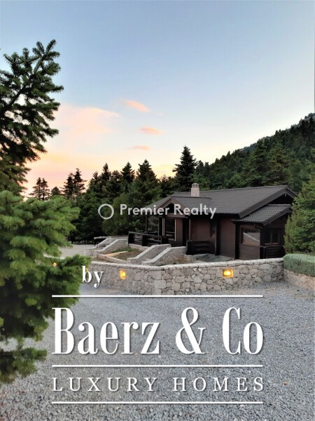 photo 22 950495 - Chalet | Eptalofos, Parnassos, 480 sq.m.