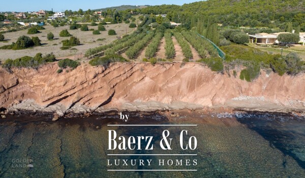 photo 2 Seafront olive grove