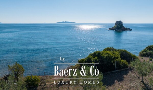 photo 4 Seafront olive grove