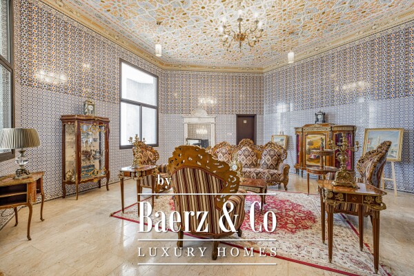 photo 11 ROYAL PALACE | COMMERCIAL POTENTIAL READY