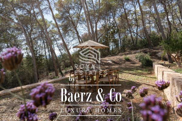 photo 89 Beautiful luxury home in Santa Gertrudis