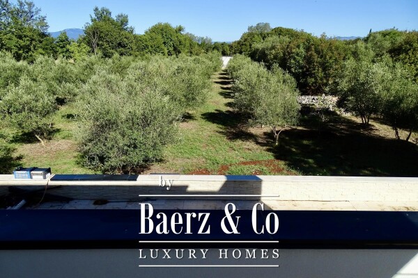 photo 3 Krk, Milovčići, villa with two apartments, a swimming pool