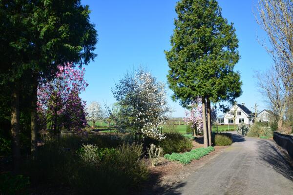 photo 61 Lange Meentweg 4