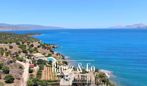 photo 3 Apollo Seafront Mansion