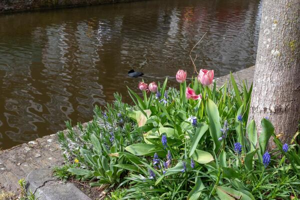 photo 71 Oude Delft 32