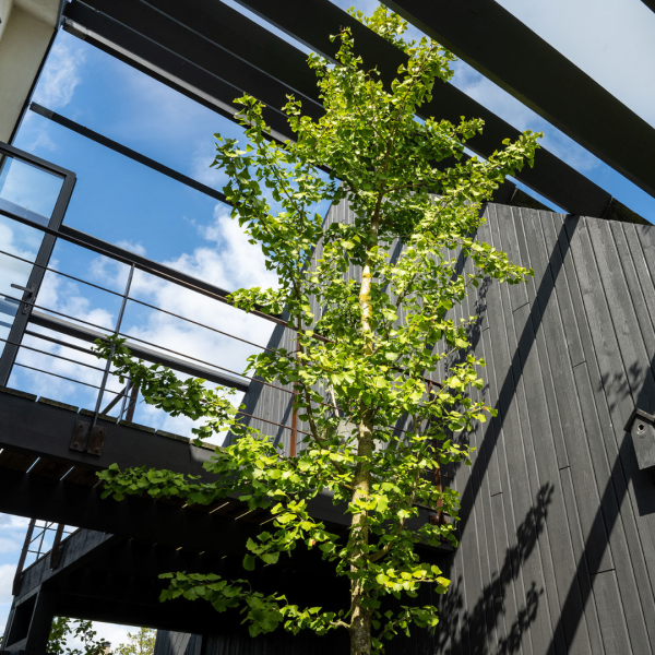 photo 24 Groene Hof 3