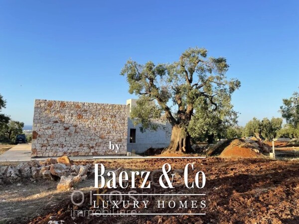 photo 8 Carovigno, Brindisi