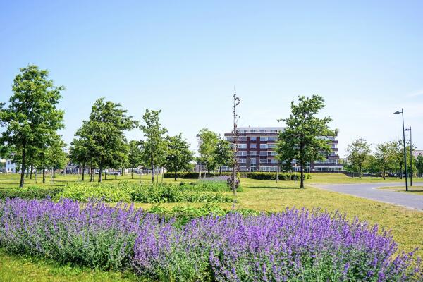 photo 45 Nederhoflaan 12