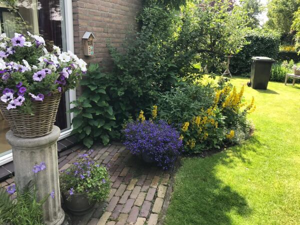 photo 33 Lijsterlaan 2 b