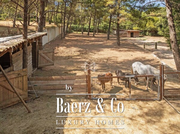 photo 4 Exceptional Villa in a Natural Setting Between Vineyards and Forest, Just 10 Minutes from the Beaches