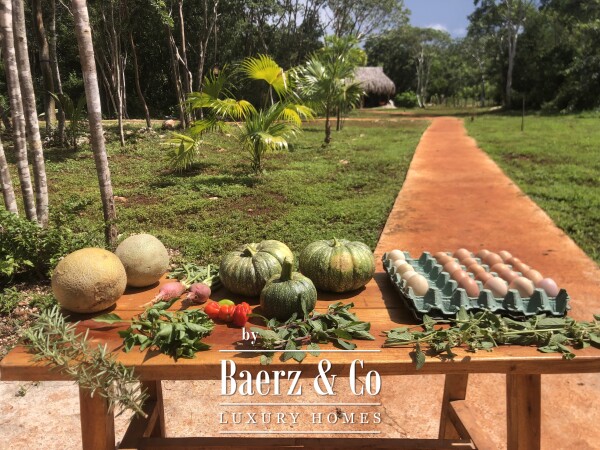photo 16 A Private Yucatán Estate — A Life of Privacy, Nature and Independence