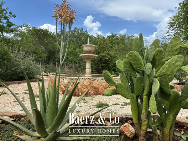 photo 18 A Private Yucatán Estate — A Life of Privacy, Nature and Independence