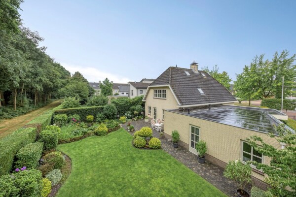 photo 4 Bilzekruid 11