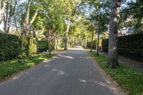 photo 65 Zuidlaan 16