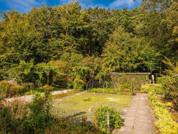 photo 62 Schumanlaan 15