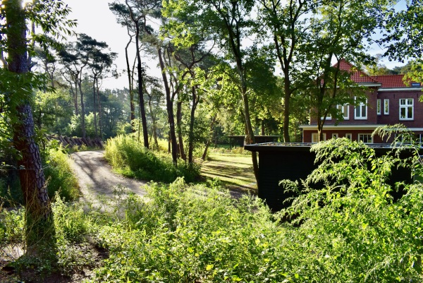 photo 7 Groenelaantje 35 g