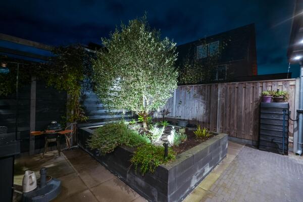 photo 43 Ellen Vogelstraat 23