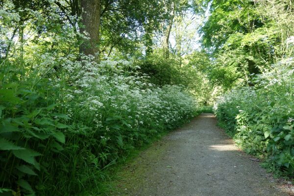 photo 57 Van de Veldelaan 958