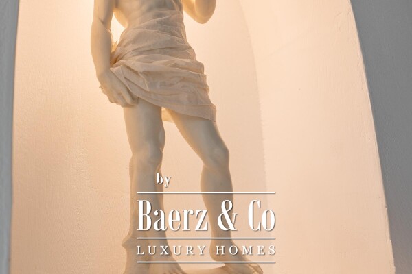 photo 3 Vukovar, Mitnica, for sale, 800 m², business opportunity