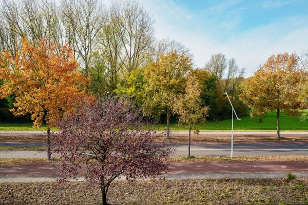 photo 41 Boymansweg 17