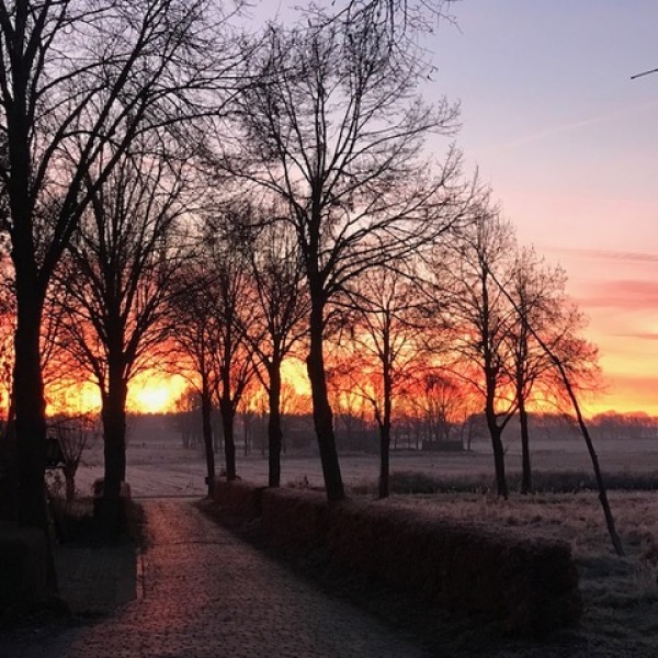 photo 74 Julianaweg 13