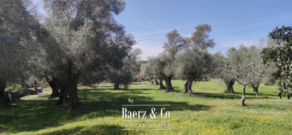 photo 27 Catalan-Style Country Estate – A Unique Historic Gem for sale