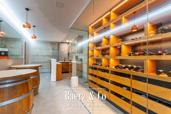 photo 17 Gornji Mihaljevec, Vukanovec - luxury villa on a 12622 m² plot of land.