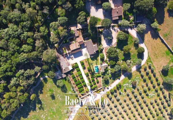 photo 4 Exclusive Wine Estate with Bodega, Olive Grove and 10 Hectares of Private Forest