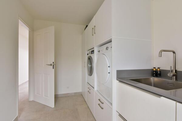 photo 18 Timotheegras 13