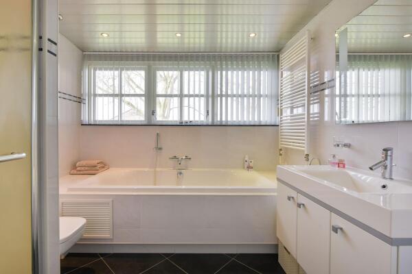 photo 27 Timotheegras 13