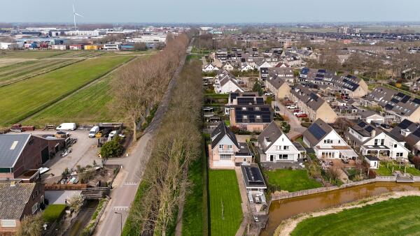 photo 55 Timotheegras 13