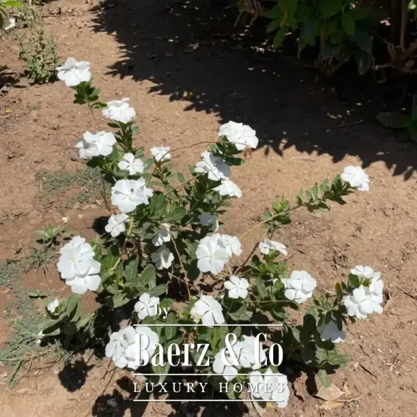 photo 17 3 bed Luxury Villa Near El Gouna with Private Beach – Best Investment in the Red Sea