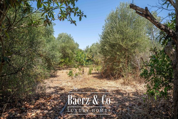 photo 22 Beautiful luxury home in Moncarapacho, Moncarapacho (Fuseta)