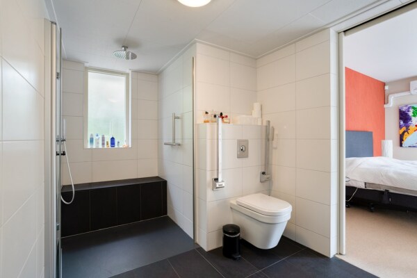 photo 34 Zilvermos 2