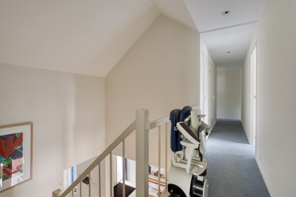 photo 42 Zilvermos 2