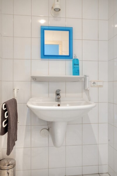 photo 55 Zilvermos 2