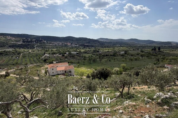 photo 27 Brač, Nerežišća, a stone villa on a spacious plot of 28,122 m².