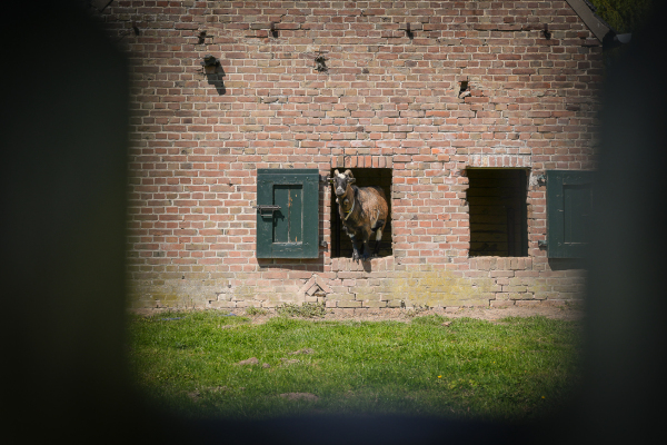 photo 46 Molenstraat 31