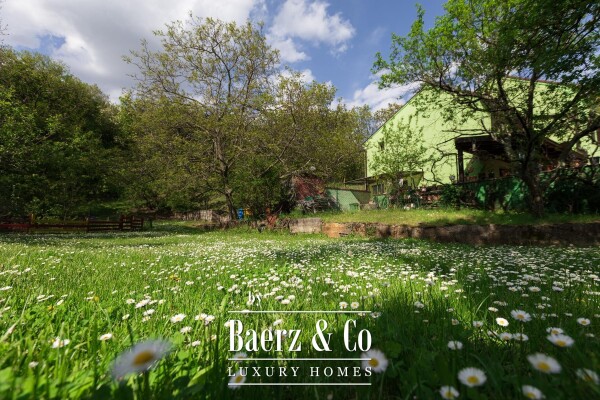 photo 16 Cernik, Čavle, renovated house of 288 m² with 3,448 m² of land.